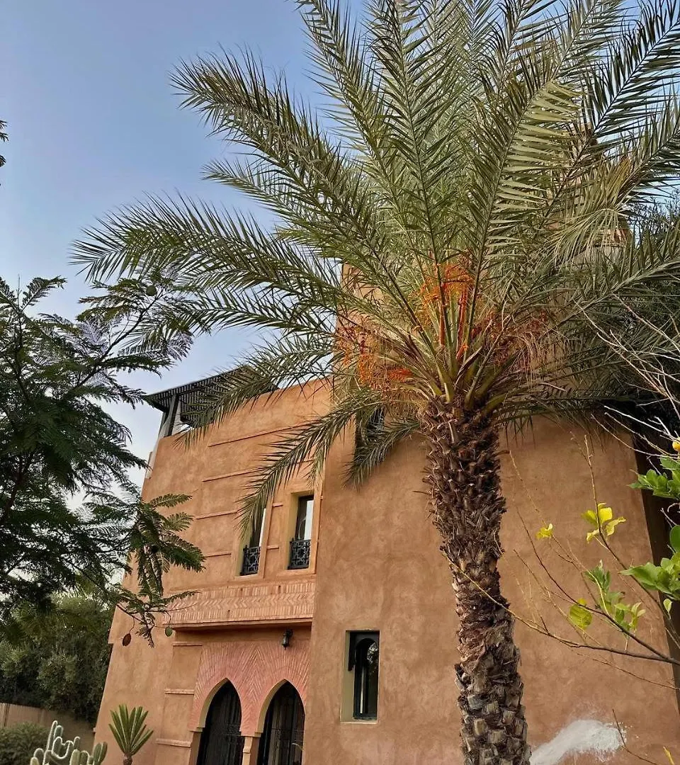 Private Riad Alemania In Marrakesh - Pool - Rooftop 빌라